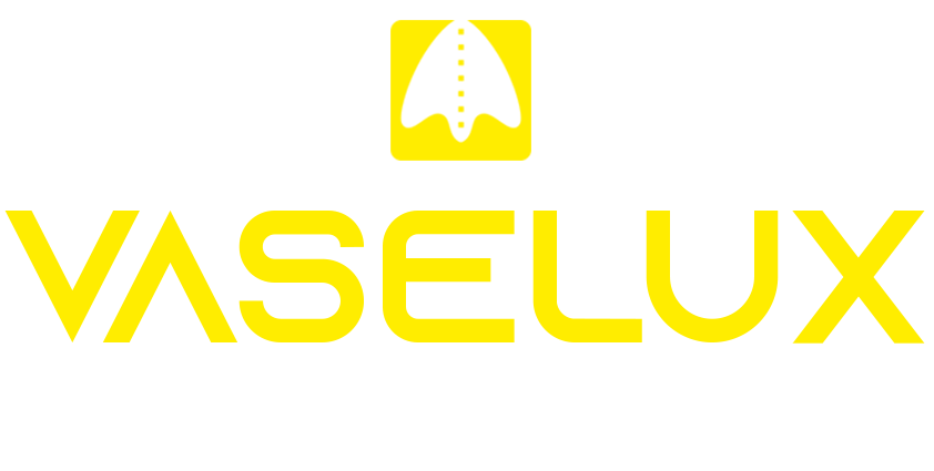 Vaselux Aydınlatma